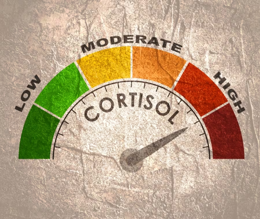 Al momento stai visualizzando Perché è utile misurare il cortisolo in una dieta?